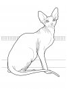 coloring_pages/cats/gatti_cats_ cat_24.jpg